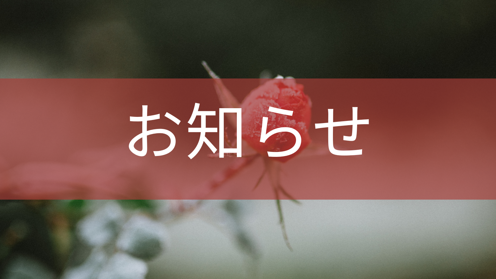 2026年最初のお知らせ。サービスリニューアル中です。